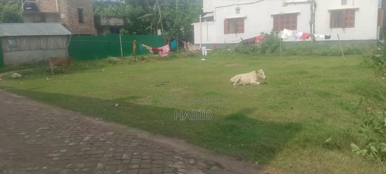 Land Plot Sale