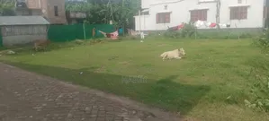 Land Plot Sale