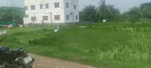 Land Plot Sale