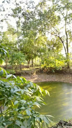 20 decimal clear title residential land with pond for urgent sale.
