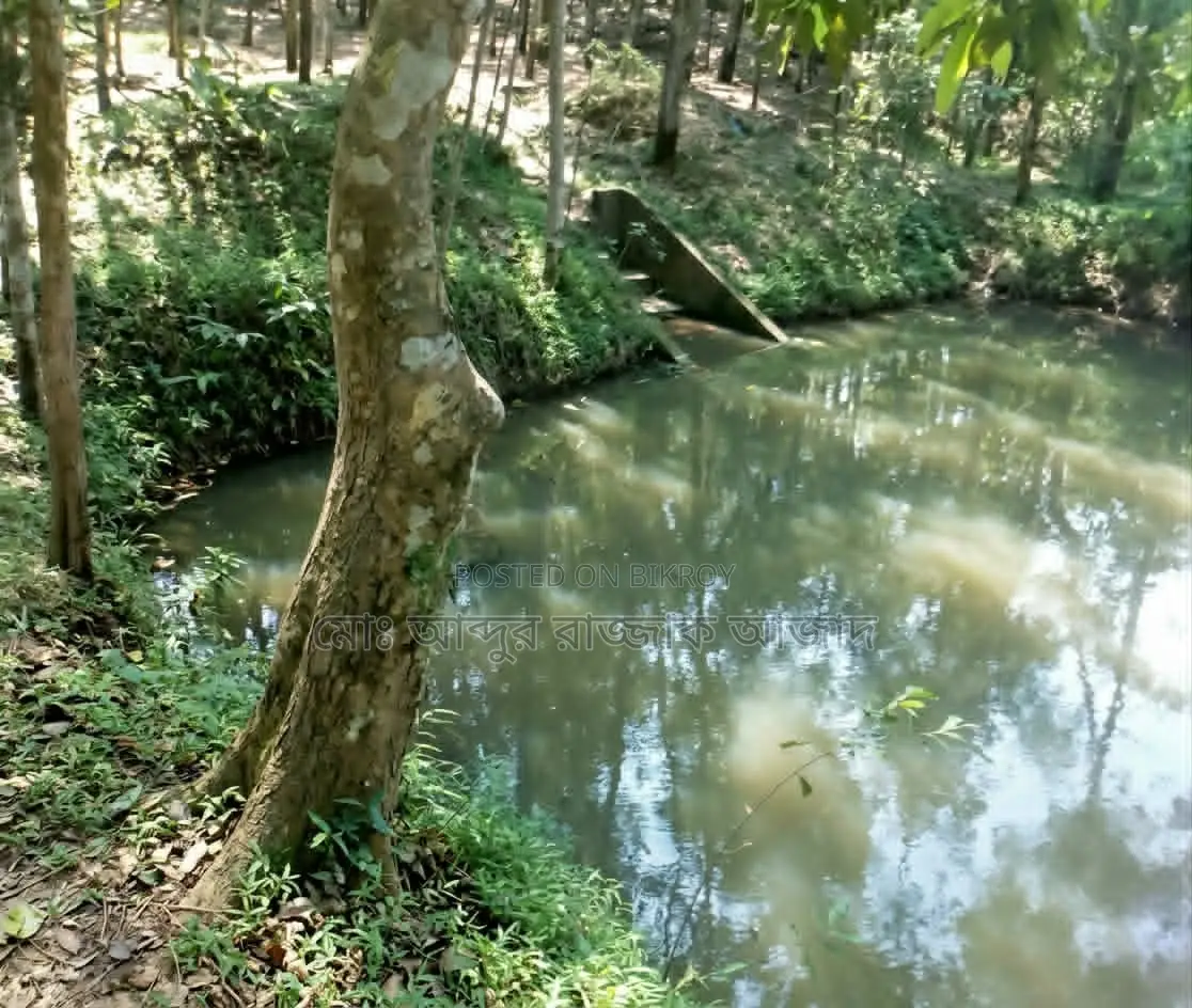 20 decimal clear title residential land with pond for urgent sale.