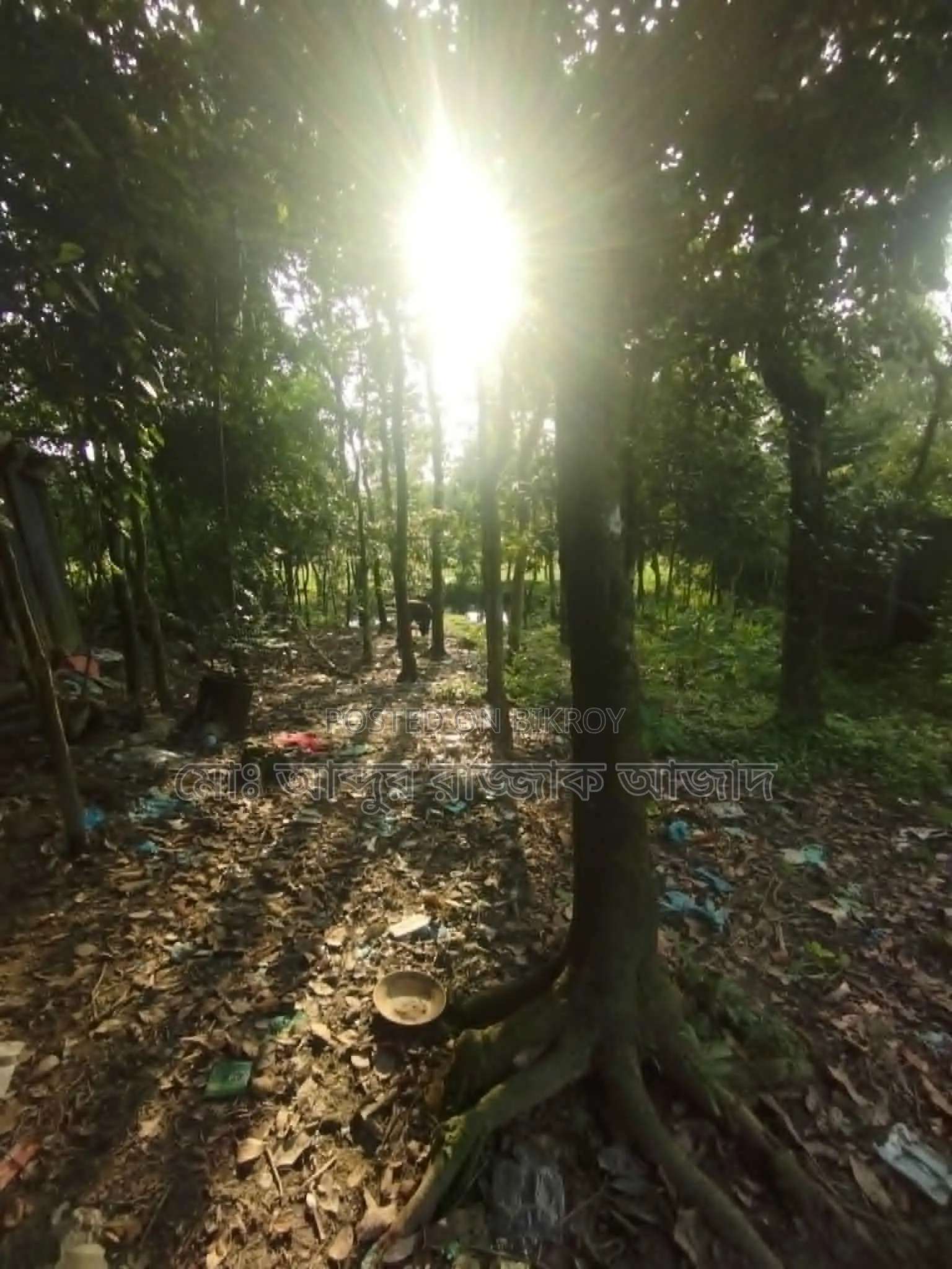 20 decimal clear title residential land with pond for urgent sale.