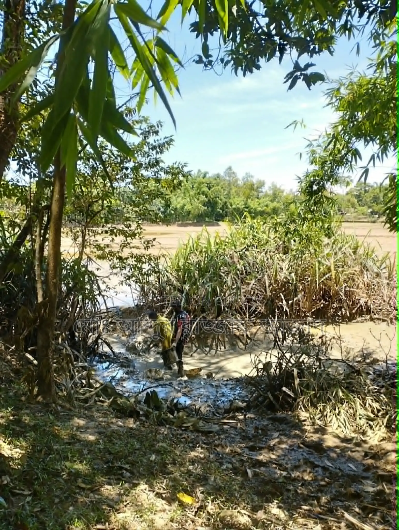 20 decimal clear title residential land with pond for urgent sale.