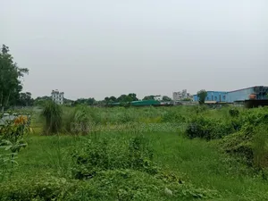 10 Bigha land for sale under Gazipur Dhirasram Flyover