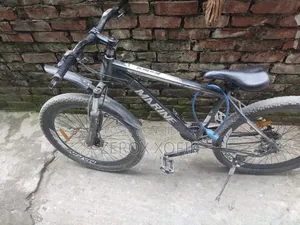Gear Bicycle