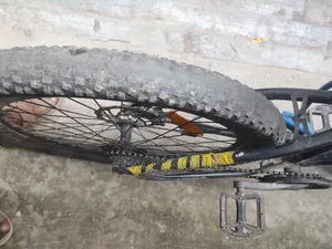 Gear Bicycle