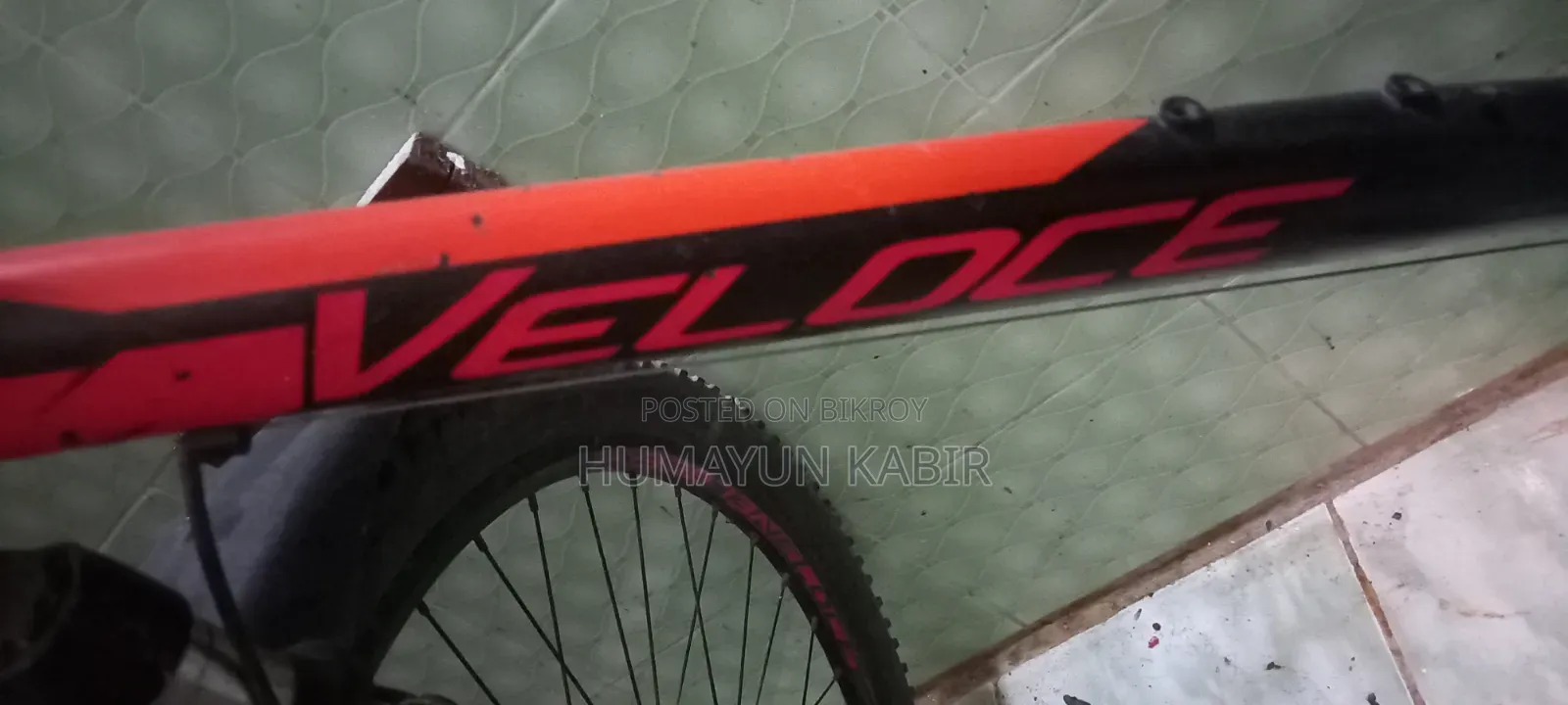 Veloce Cycle