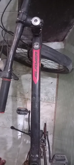 Veloce Cycle