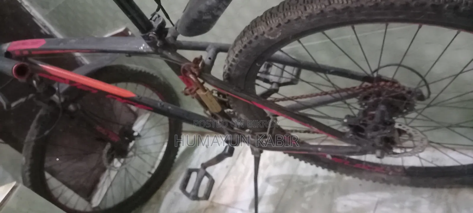 Veloce Cycle