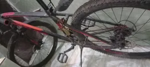 Veloce Cycle