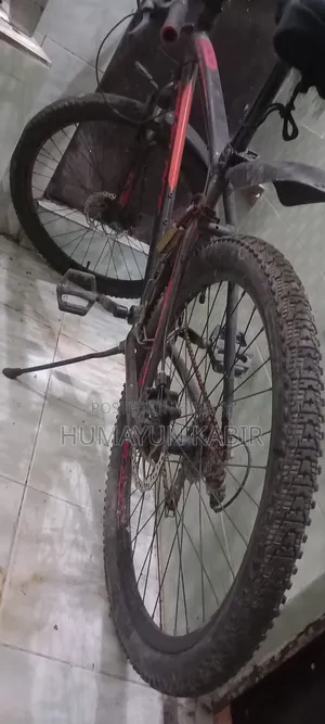 Veloce Cycle
