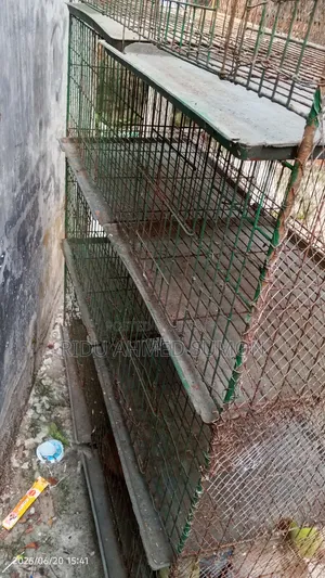Pigeon cage 8 rooms very good, iron net on all sides