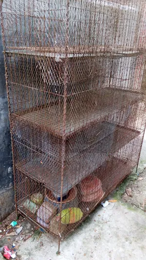 Pigeon cage 8 rooms very good, iron net on all sides