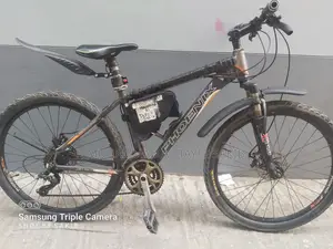 Phoenix Bicycle Urgent Sale