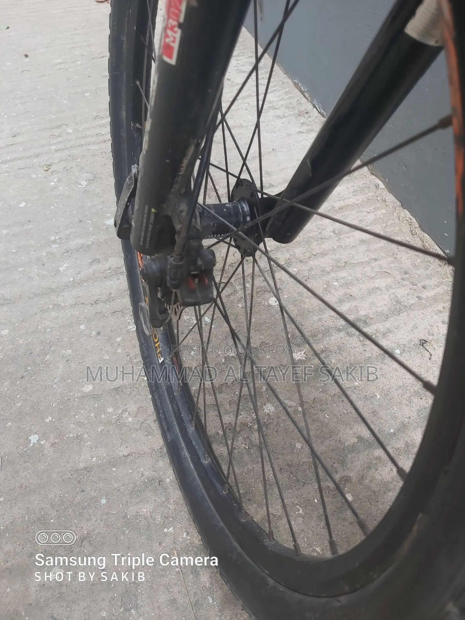Phoenix Bicycle Urgent Sale