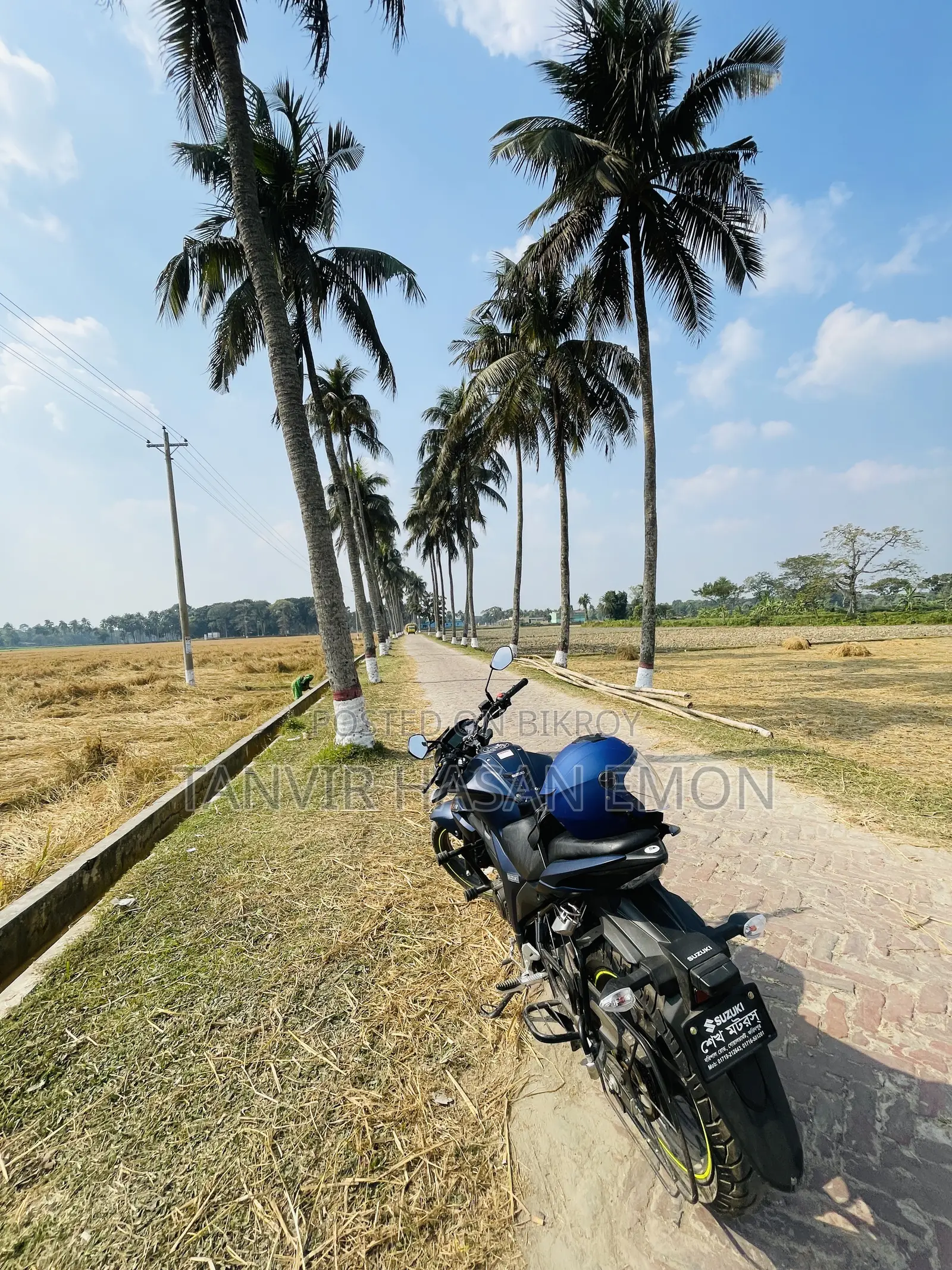 Suzuki Gixxer Monotone 2025 Blue