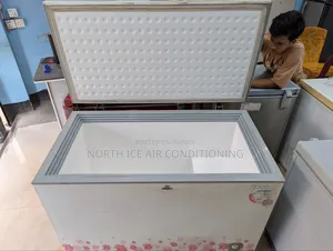 Walton Deep Freezer 380 Ltr.