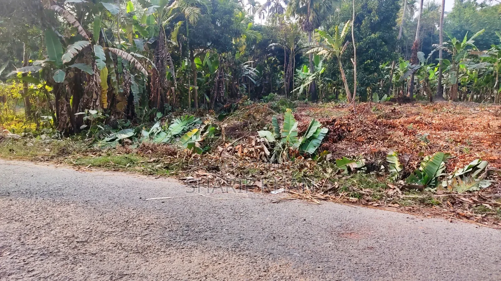 মেইন রোডের সাথে ২০ শতক জমি বিক্রয়