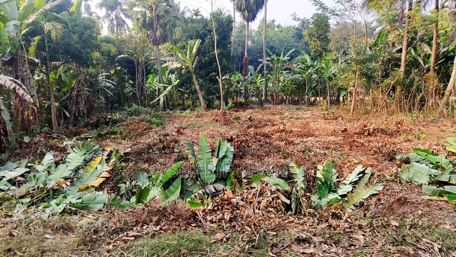 মেইন রোডের সাথে ২০ শতক জমি বিক্রয়