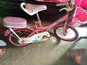 Phoenix Girls Cycle