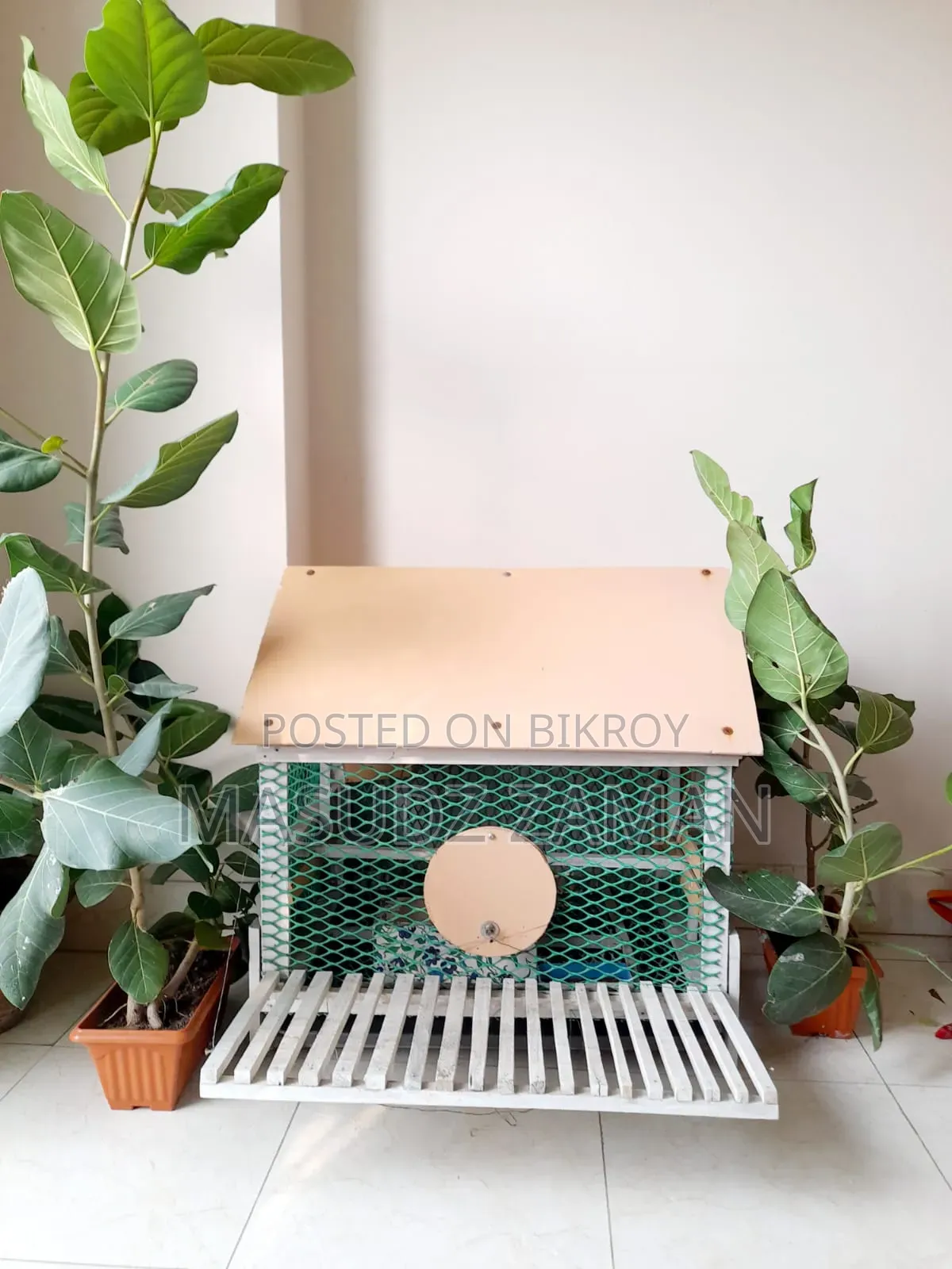 Bird House
