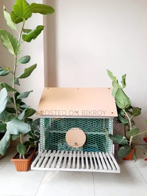 Bird House