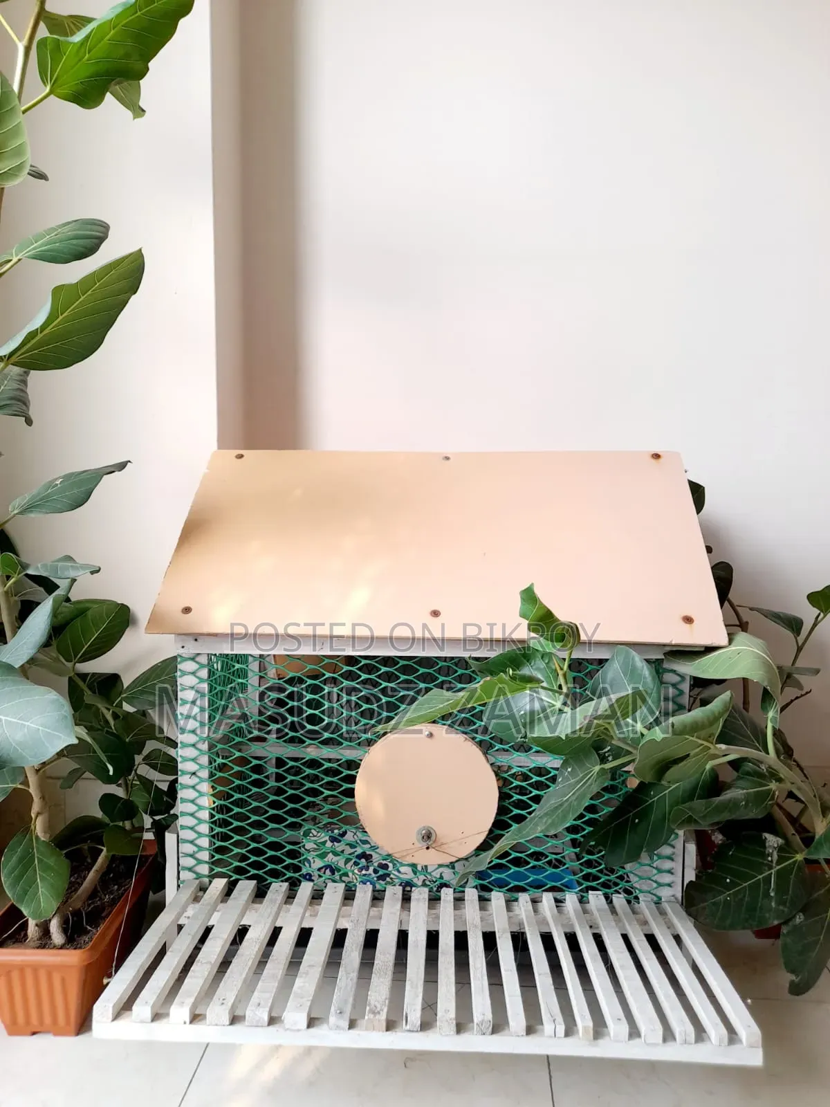 Bird House