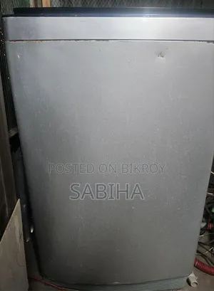 Walton Washing Machine