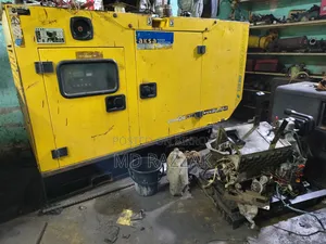 25.5kVA Aska Turkey Generator