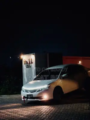 Toyota Allion 2009 Pearl