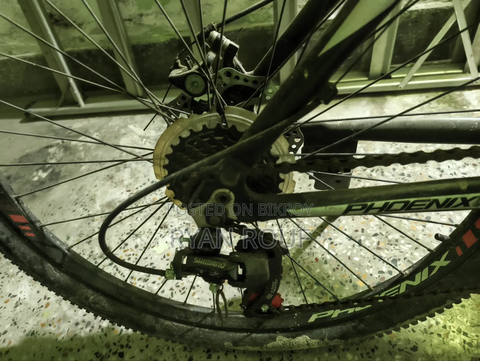 Phoenix Cortex 24" Frame: Alloy Wheel Size: 24"