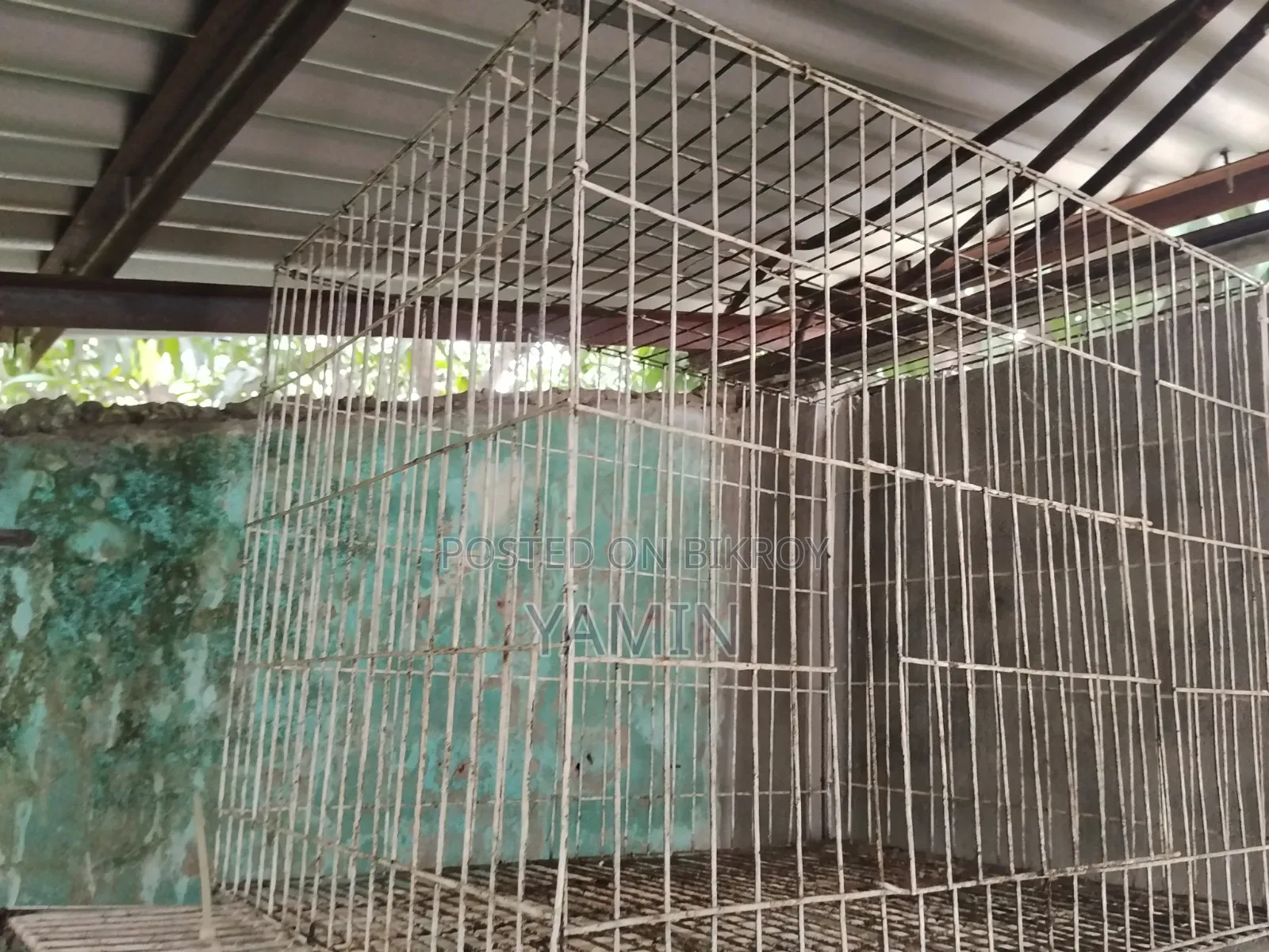 Cage for Sale No Tray