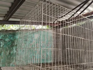 Cage for Sale No Tray