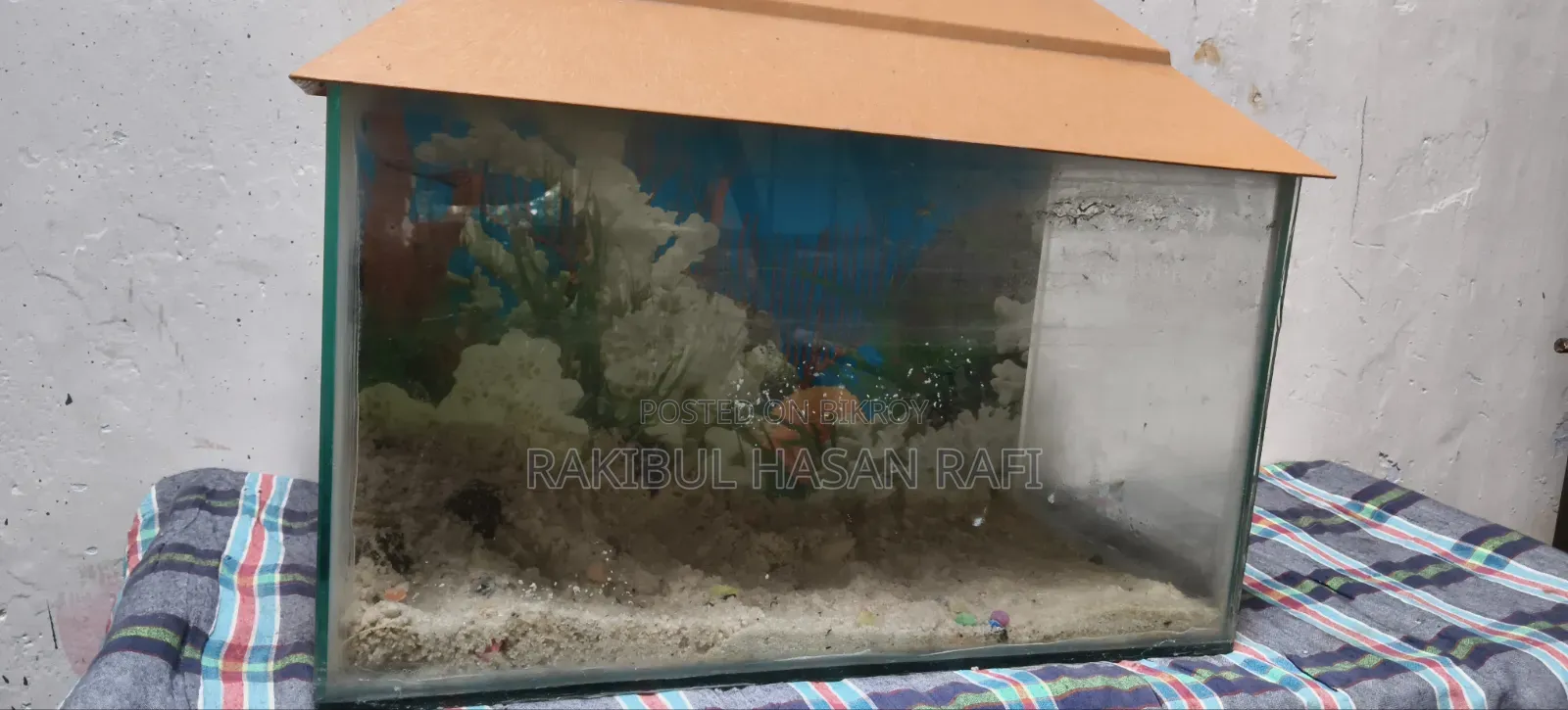 Fish Aquarium