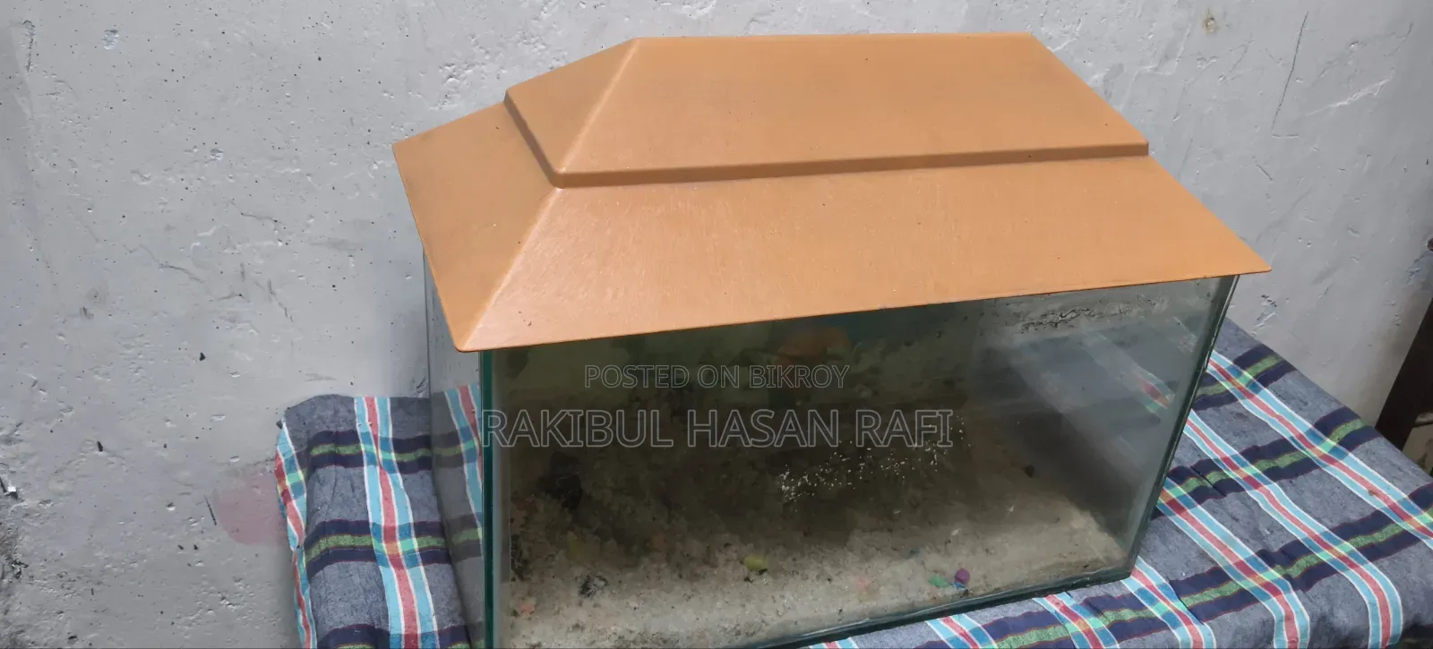 Fish Aquarium