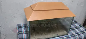 Fish Aquarium
