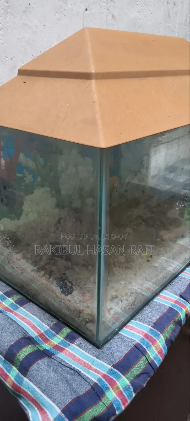 Fish Aquarium
