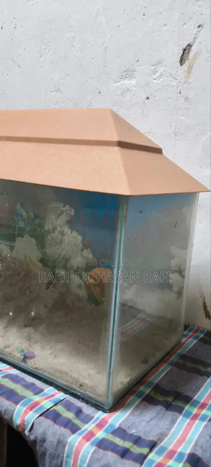Fish Aquarium