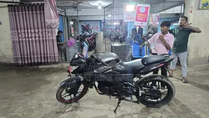 Bajaj Pulsar NS 160 2017 Gray