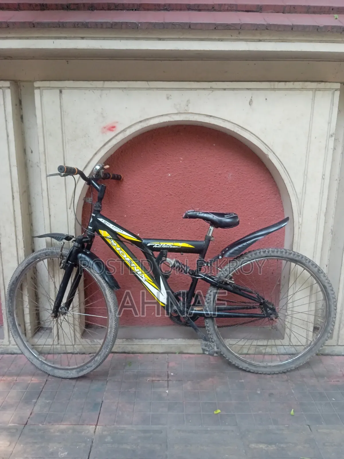 Bicycle Brand: Phoenix