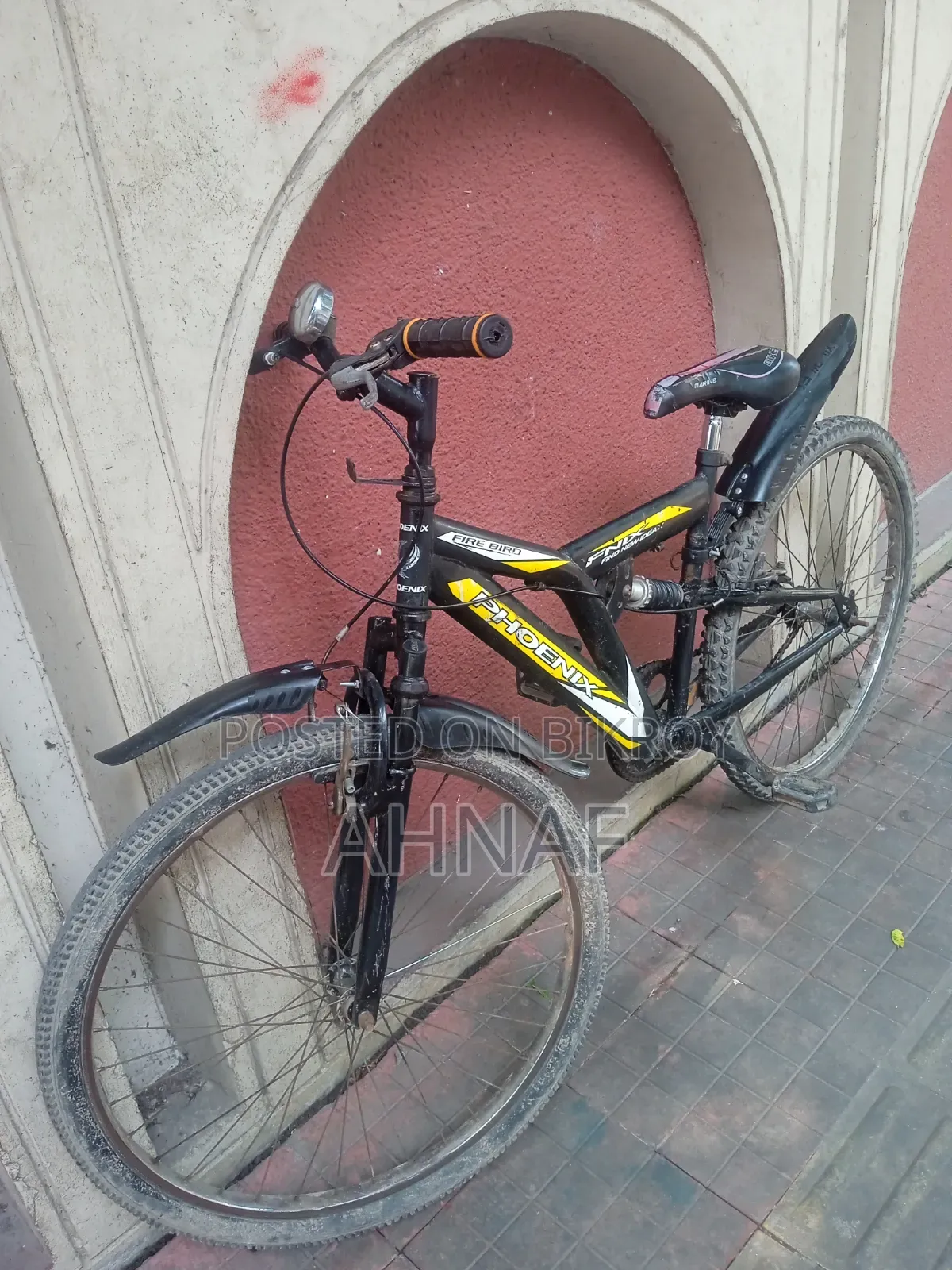 Bicycle Brand: Phoenix
