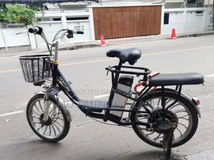 Electric Cycle