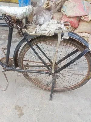 Phonix Cycle