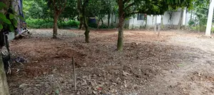 4 decimal land for sale.