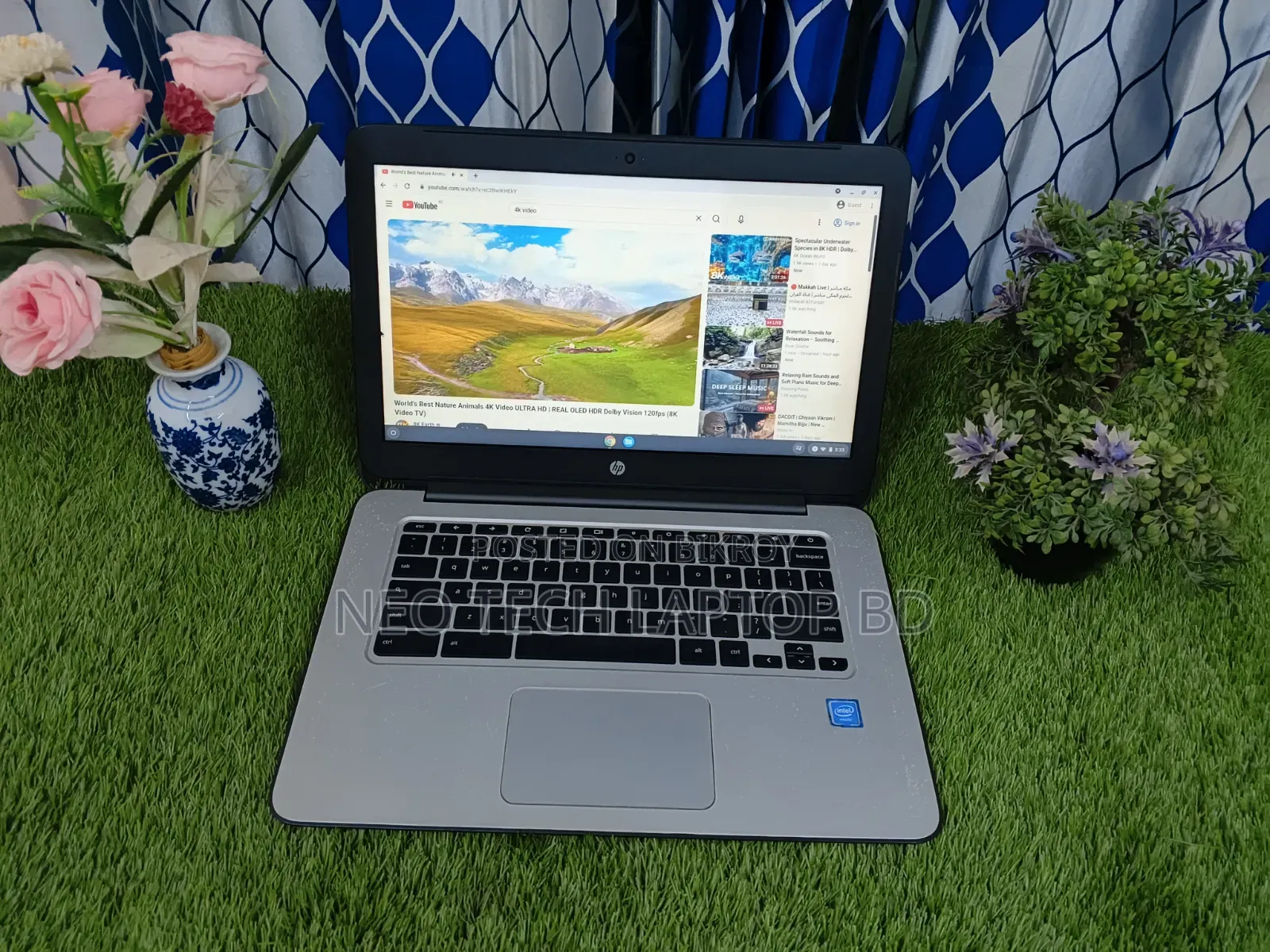 Laptop HP Chromebook 14 G4 4GB Intel Celeron SSD 16 GB