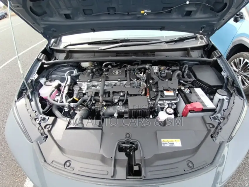 Toyota Prius 2024 Gray