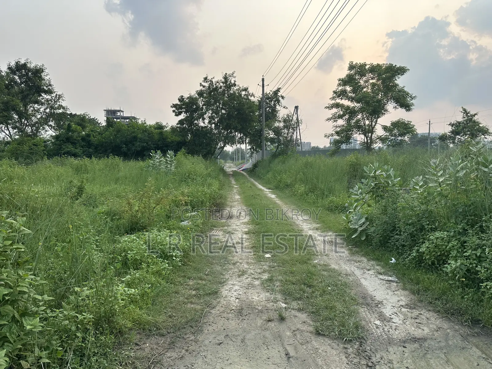 Block-N, South-Facing, 3-Katha, Near Central Mosque, Bashundhara R/A