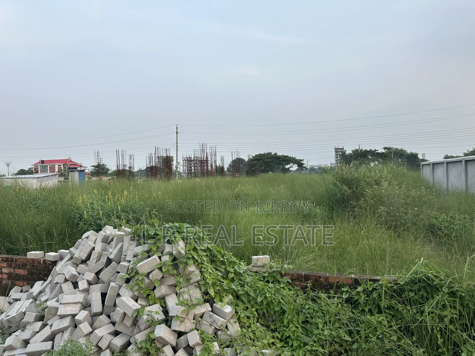Block-N, 5-Katha, South-Facing, Urgent Sale, Bashundhara R/A