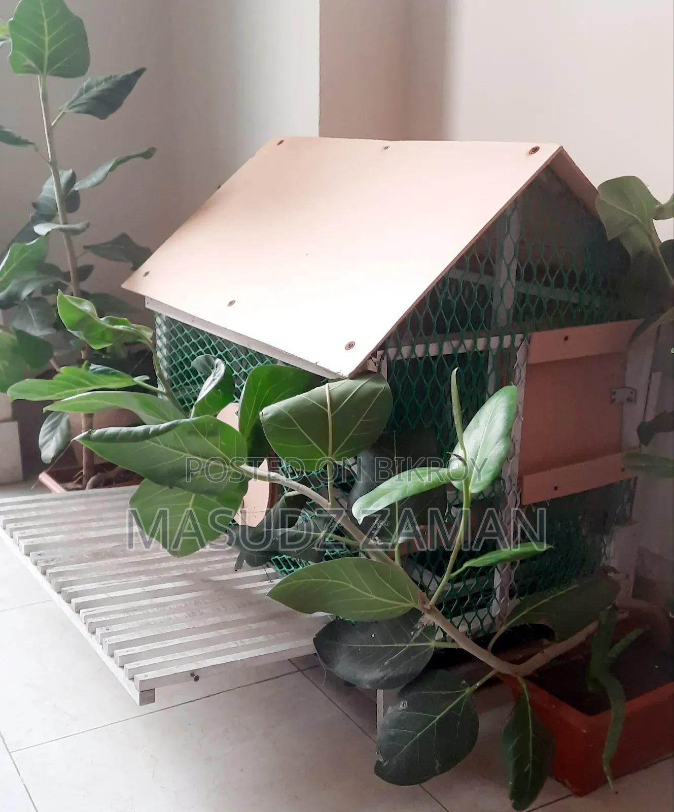 Bird House