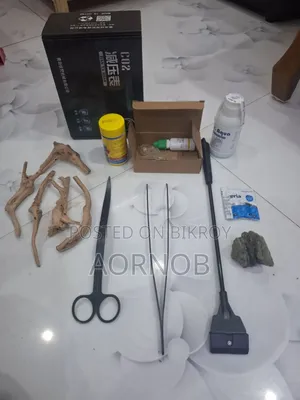 অ্যাকোয়ারিয়াম ফুল সেটআপ বিক্রি
